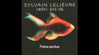 Sylvain Lelièvre - Peine perdue