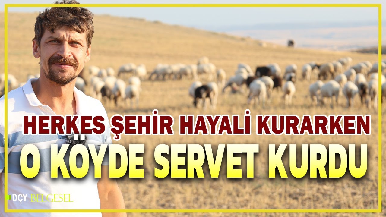 Bir Zamanlar Çobandı Şimdi Patron Oldu | Şehir Hayali Yerine Köyde Servet Kurdu