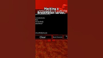 Hacking a Brookhaven server.. #roblox #brookhaven #hacker #c00lkidd #shorts