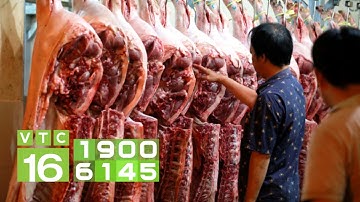 Nhập khẩu thịt lợn tăng mạnh bù đắp thiếu hụt | VTC16