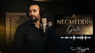 Necmeddin Gulê [ © 2025]