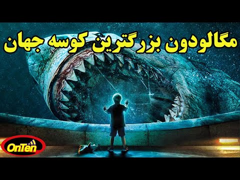 مگالودون ، بزرگترین کوسه تاریخ کره زمین را بشناسید