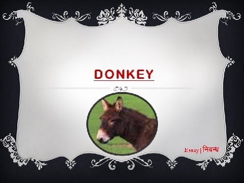 donkey essay in english 150 words