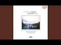 Capture de la vidéo Symphony No. 5 In E-Flat Major, Op. 82: I. Tempo Molto Moderato - Allegro Moderato
