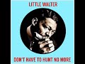 LITTLE WALTER - DON&#39;T HAVE TO HUNT NO MORE