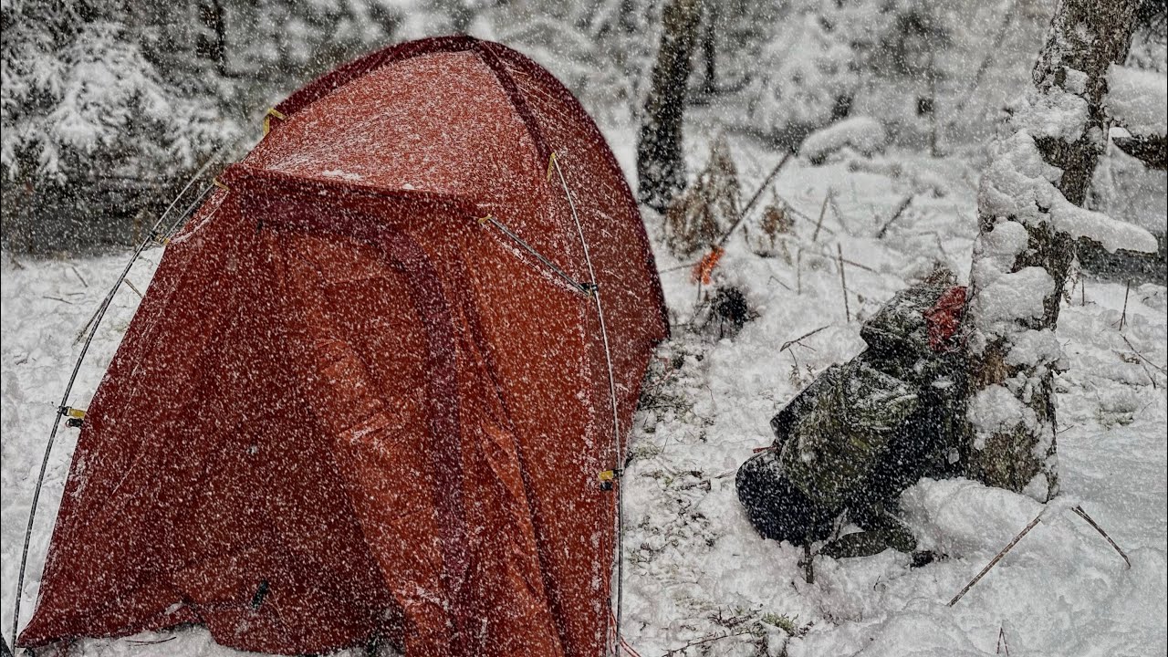 Survival Shelters Everyone Should Know