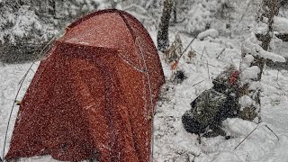 Survival Shelters Everyone Should Know