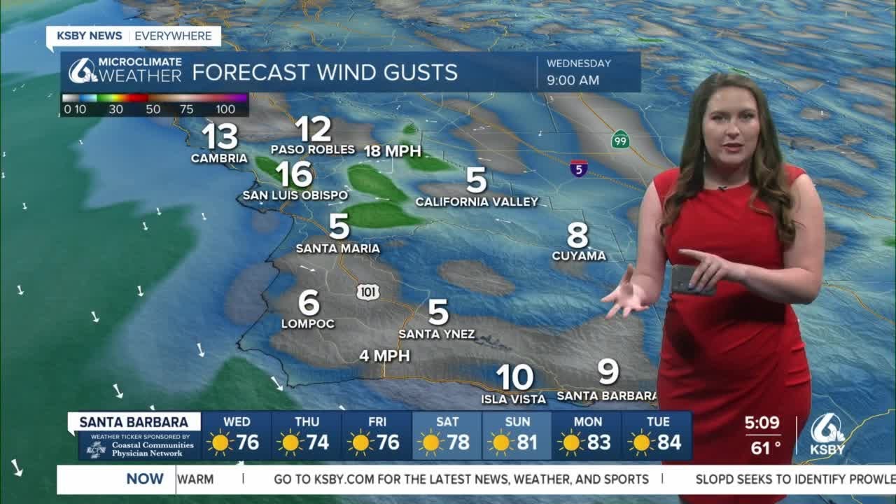Sunny and mild forecast settles in, warmer next week - YouTube