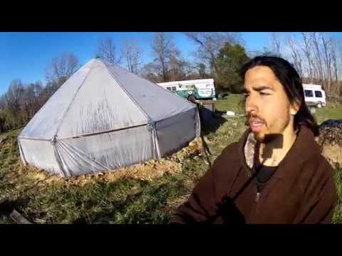 The Garden Greenhouse Revival! The Garden Greenhouse Revival! #1