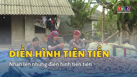 Nhân lên những điển hình tiên tiến | THLC