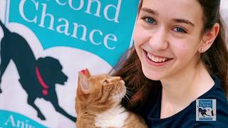 Video Announcement - Giving Animals A Second Chance