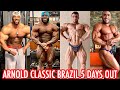 2019 ARNOLD CLASSIC SOUTH AMERICA 5 DAYS OUT UPDATE