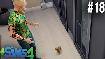Питомцы в Симс. Как завести собаку? | Sims 4 #018