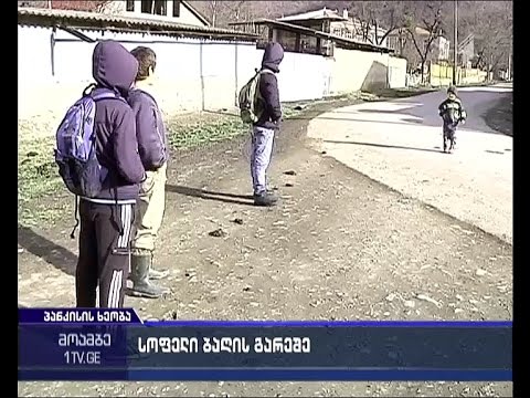 27 ბავშვი ბაგა-ბაღის გარეშე - სოფელ დუმასტურის მცხოვრებთა მოთხოვნა
