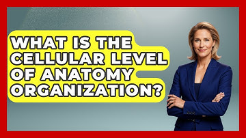 What Is The Cellular Level Of Anatomy Organization? - All About Anatomy Answers