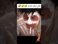 على زهر عندو منحووووس Funny المغرب اكسبلور Morocco لايك Fypシ على زهر عندو منحووووس Funny المغرب اكسبلور Morocco لايك Fypシ