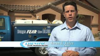 Tucson Termites Commercial | Essential Pest Control