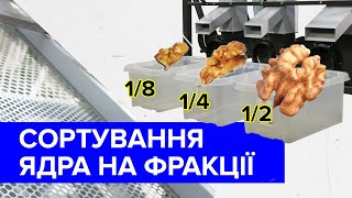 Збільшення рентабельності переробки горіха. Вібросито для сортування ядра волоського горіха