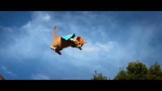 Video thumbnail of "Bobina -  Flying Kitten"