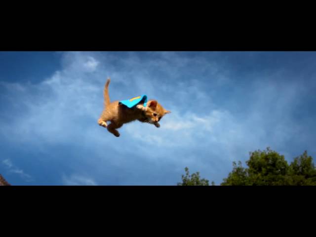 Bobina - Flying Kitten [ #TranceFresh 42
