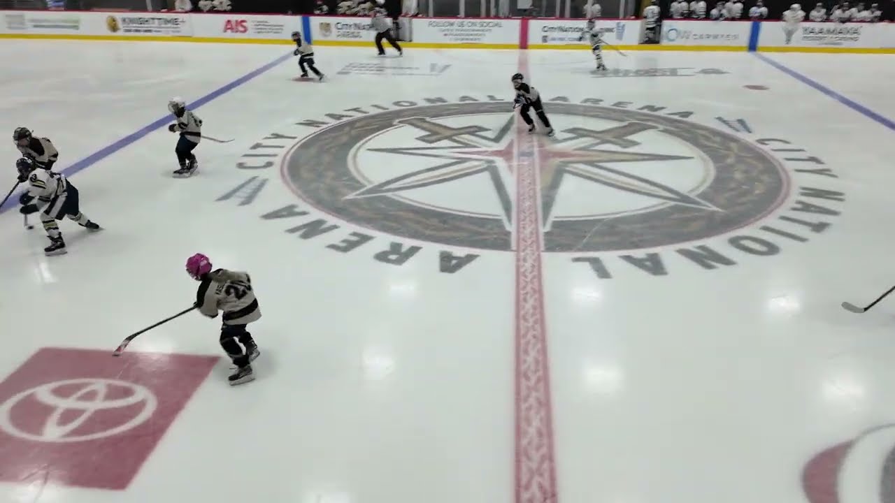 2025.11.29.Ice.Dogs 12UA vs ViviD HockeY 10UAA 1st Period