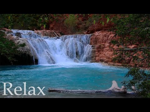 Set Peace of Mind - Relaxig Music and Sounds of Nature - Calm Day Songs🍃