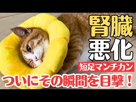 【感謝】あさりの事がYahoo!ニュースにも取り上げられました！そしてあの瞬間も目撃！