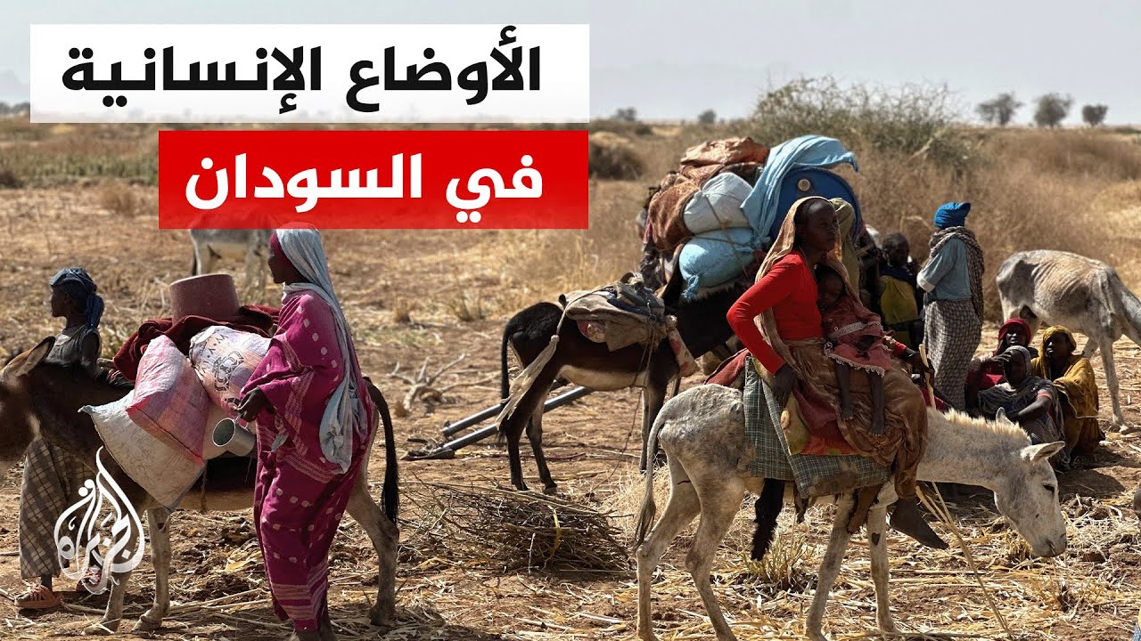 ���� ������� ������� ������� ������� �� ������� ���� �� ������ ����� ��������� ����������� ��� �����
 - نشر قبل 14 دقيقة