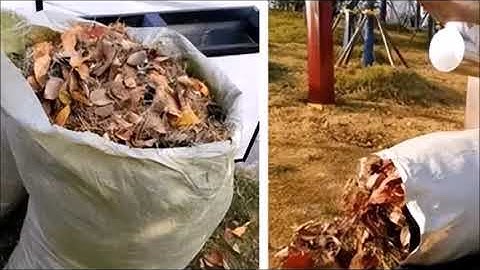 Báo TQ nhắc lại từng bị Nhật lừa bán lá rụng