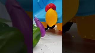 Nail Baba'dan Kamyon Dolusu Meyve Sebze Sürprizi! 🚚🍉