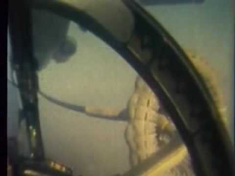 Jaguar flying over Chad in 1983