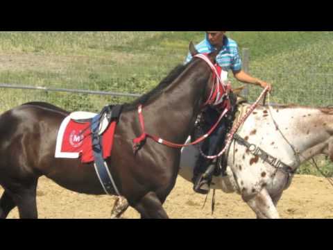 El Martillo Video