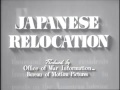 Relocation and Resilience: Japanese Americans During World War II