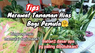Tips Merawat Tanaman Hias Bagi Pemula || Ini bahan bahan dasar yang paling dibutuhkan‼️