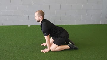 Cat & Camel - Thoracic