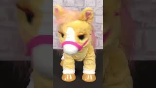 Furreal Cinnamon, My Stylin Pony Interacts