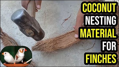 Best Natural Nesting Material for finches |Nariyal_Coconut ka Nesting Material_Hindi_Zaheer Birds