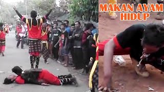 Makan Ayam Hidup Atraksisulap Singa Dangdut Warlan Muda Putra Lodaya Dsn. Tanjung Jaya Ds.gandasari