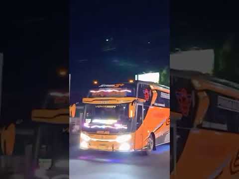 Mawar Jaya: Melukis Kenangan di Jalan Raya Indonesia