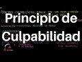 Principio de Culpabilidad. DERECHO CIVIL.