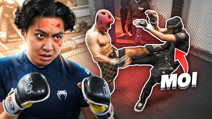 LE MMA 2 - HENRY TRAN