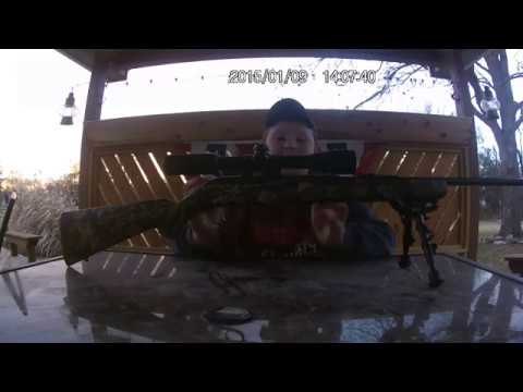 Savage model 64  review