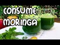 Vive más Años 🌿 || Consumo, Beneficios y Propiedades de la Moringa