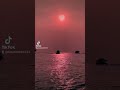 هانى شاكر طب ليه منحلمش