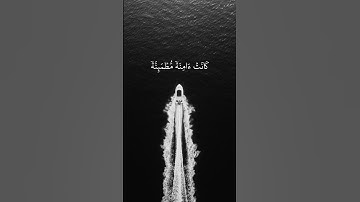 سورة النحل ، عبدالرحمن مسعد 🌱 .