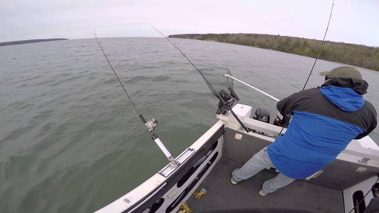 Lake Superior steelhead. Munising, MI