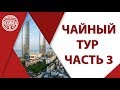 Чайный тур с Костей Пекинцем, часть 3 Сямынь.