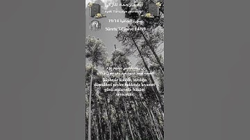 سورة الجاثية 19/14 turk/arab #quran #القران_الكريم