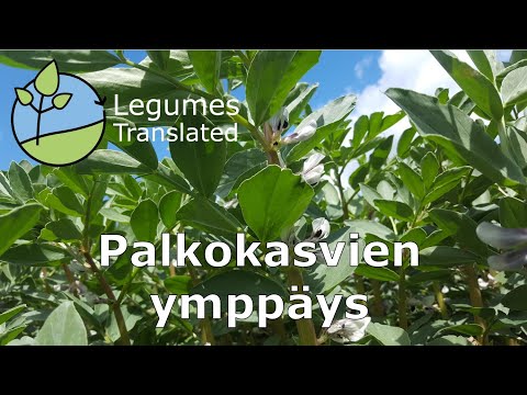 Video: Mitkä Kasvit Ovat Palkokasveja