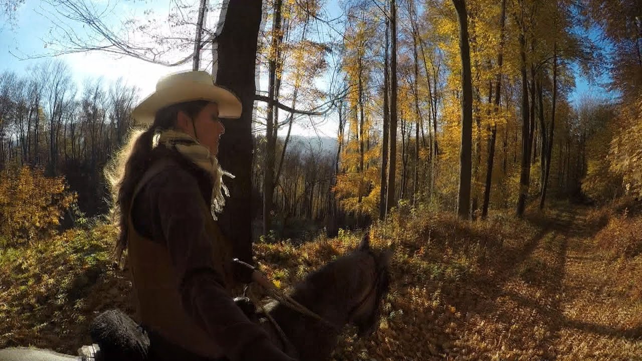 Autumn passion, horse riding (Gopro monopod+ helmet cam) YouTube